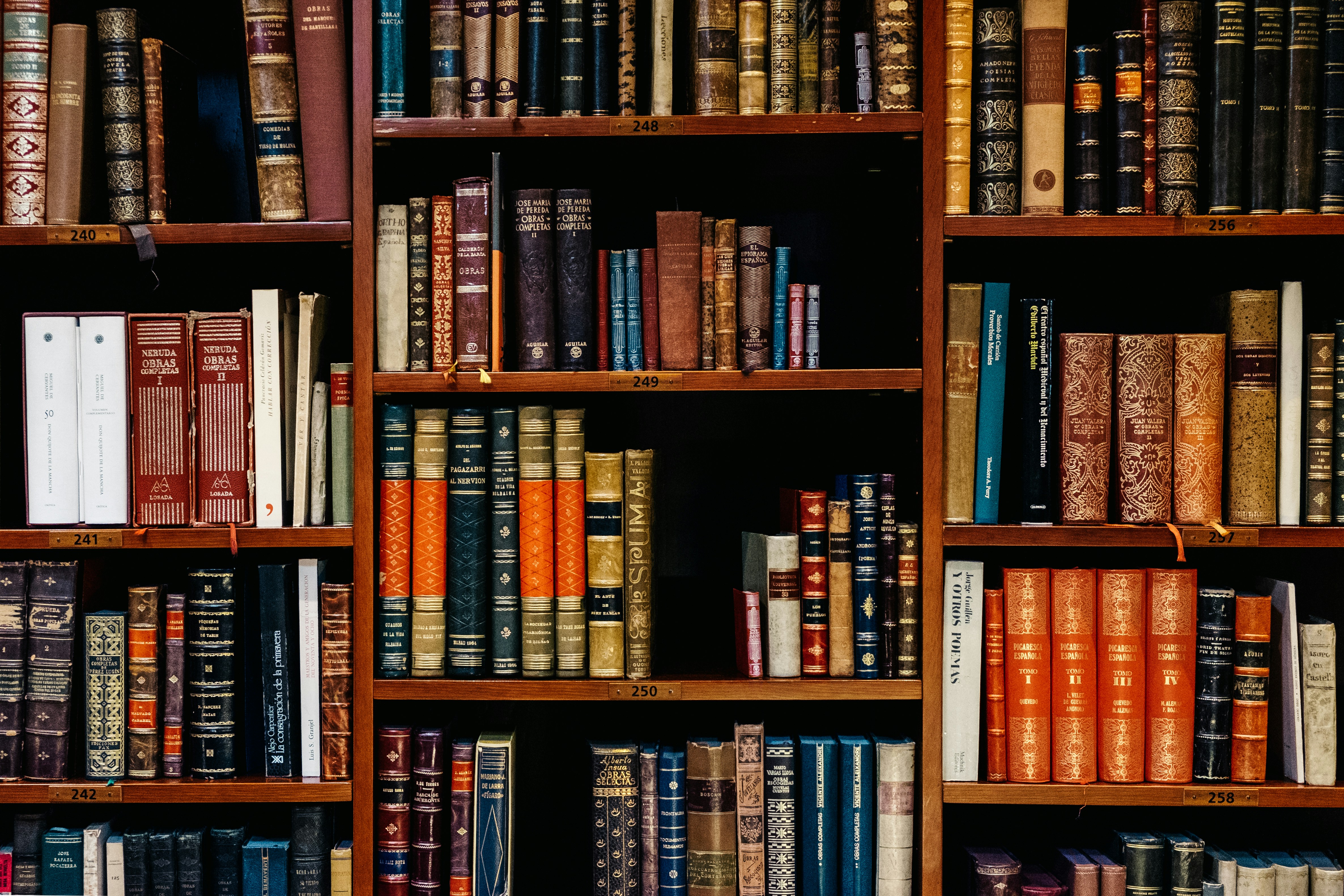 An Efficient LLM For Indian Judicial System